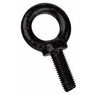 M10 Eyebolt (4 pcs)